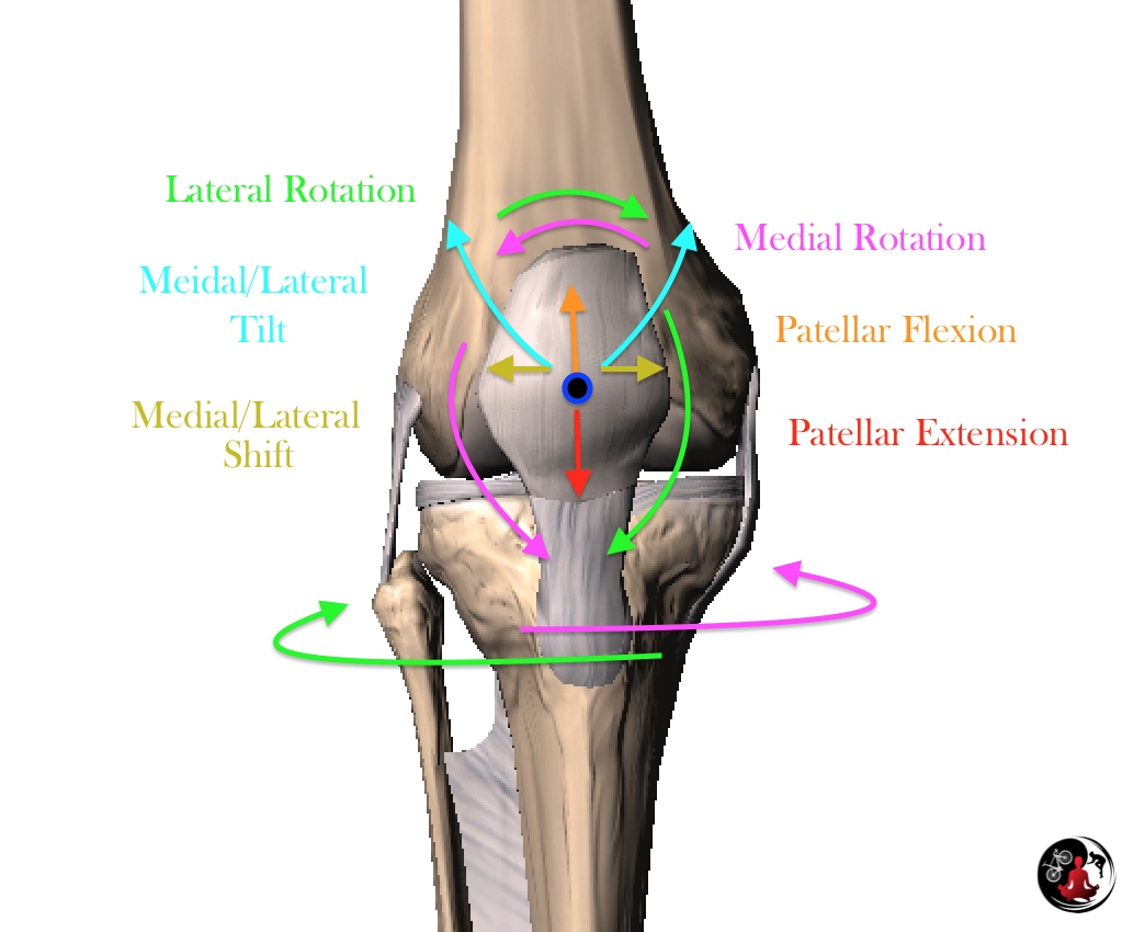 Patellar Tracking and Bike Fit — Chris Balser